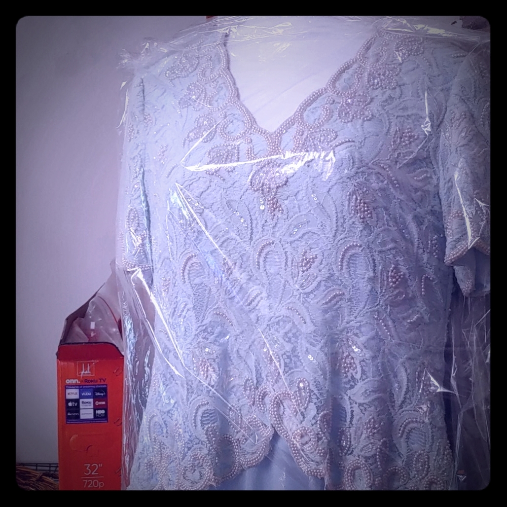 Elegant Lace Overlay Dress